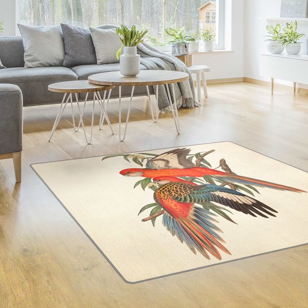 Moderner Teppich Tropische Papageien I