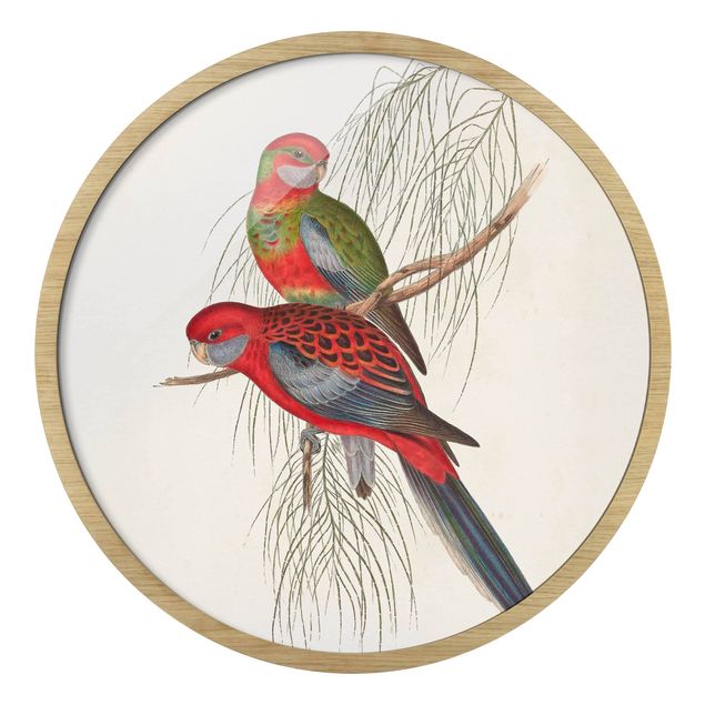 Wandbilder Tropische Papageien III