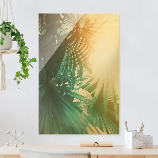 XXL Glasbilder Tropische Pflanzen Palmen bei Sonnenuntergang