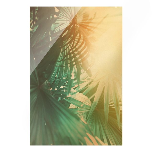 Bilder auf Glas Tropische Pflanzen Palmen bei Sonnenuntergang