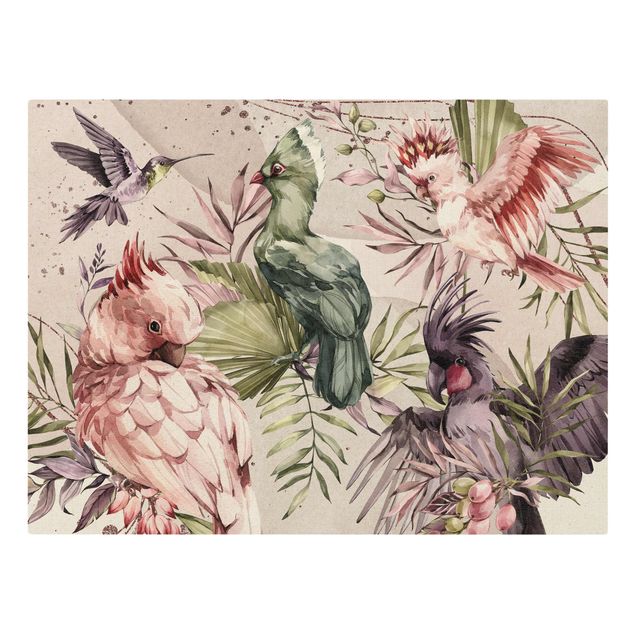 Wandbilder Tropische Vögel - Bunte Kakadus und Kolibri