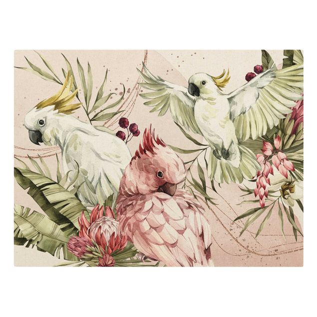 schöne Bilder Tropische Vögel - Kakadus Pink und Weiß