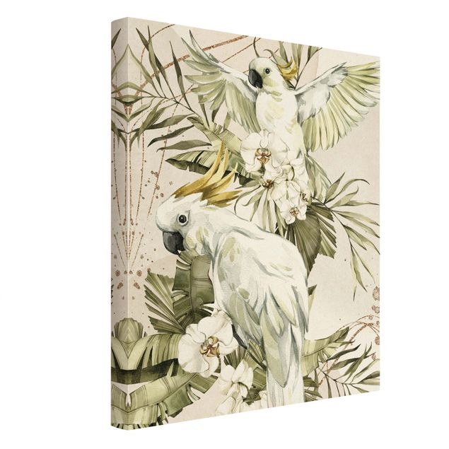 Leinwandbilder Tropische Vögel - Weiße Kakadus