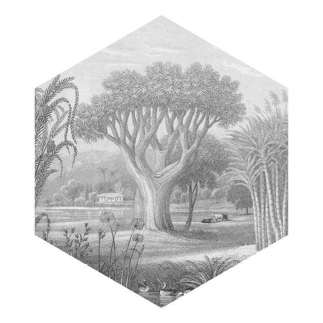 Hexagon Mustertapete selbstklebend - Tropischer Kupferstich Garten mit Teich in Grau