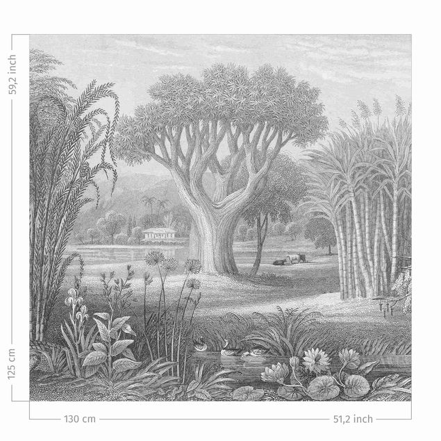 Verdunkelungsvorhang Tropischer Kupferstich Garten mit Teich in Grau