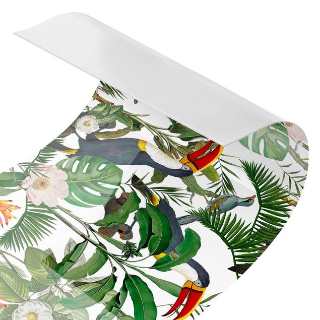 Küchenrückwand Motiv Tropischer Tukan mit Monstera und Palmenblättern