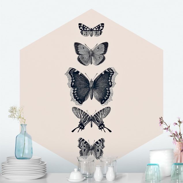 Hexagon Mustertapete selbstklebend - Tusche Schmetterlinge auf Beige