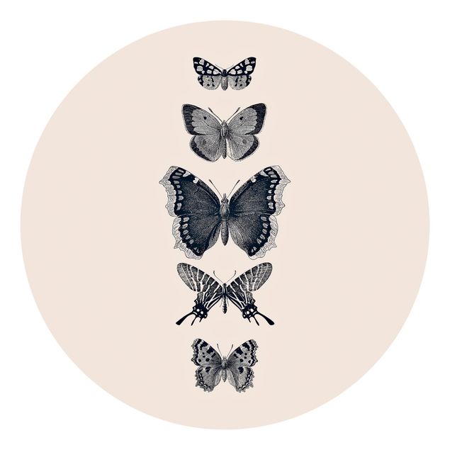 Runde Tapete selbstklebend - Tusche Schmetterlinge auf Beige