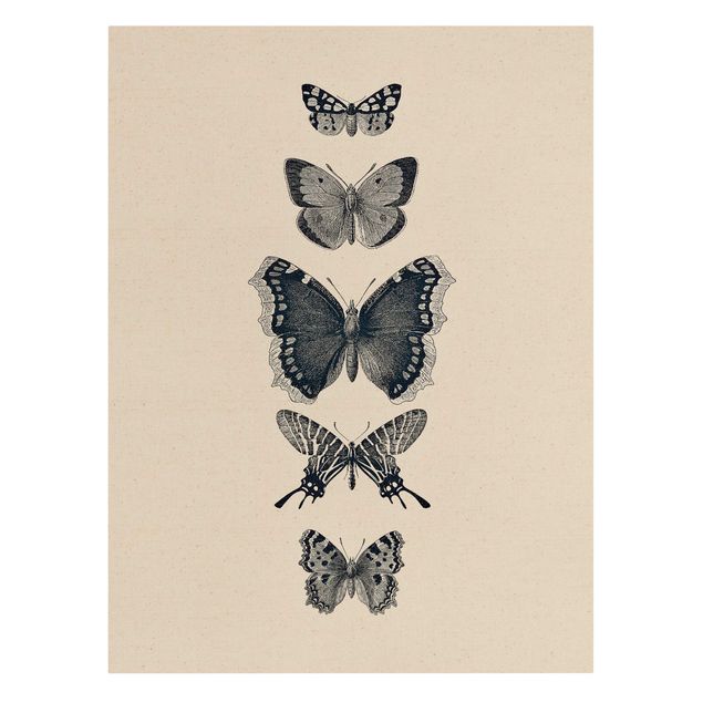Wandbilder Tusche Schmetterlinge auf Beige