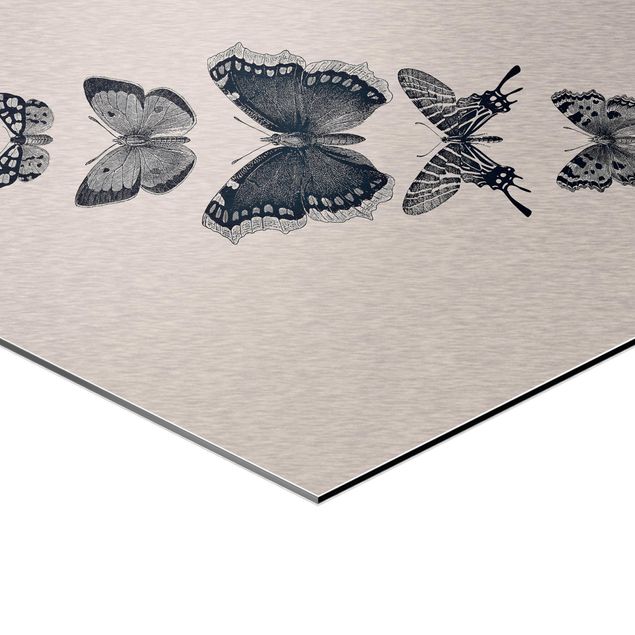 Hexagon Bild Alu-Dibond - Tusche Schmetterlinge auf Beige