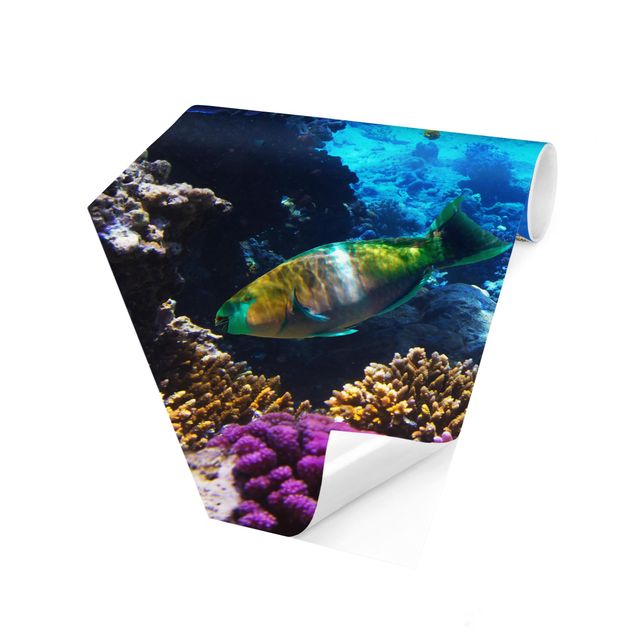 Hexagon Mustertapete selbstklebend - Underwater Dreams