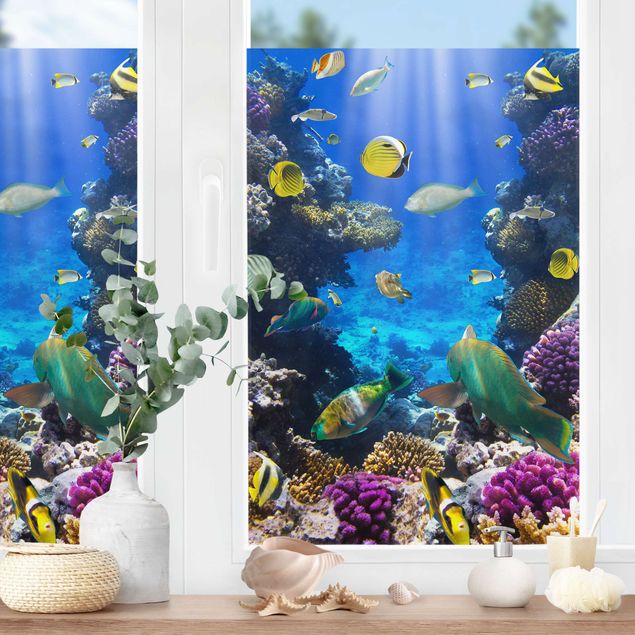 Fensterbilder Tiere Underwater Dreams