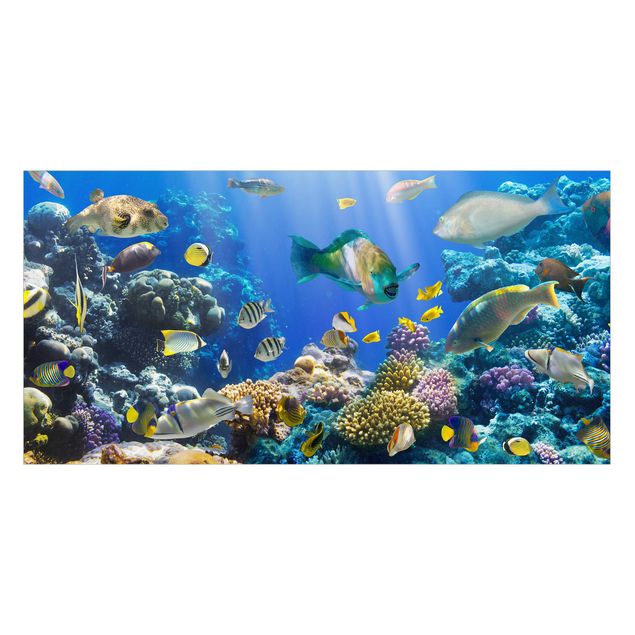 Fensterfolie - Sichtschutz - Underwater Reef - Fensterbilder