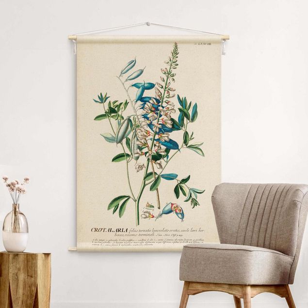Wandteppich groß Vintage Botanik Illustration Hülsenfrüchte