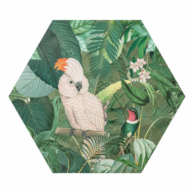 Hexagon-Alu-Dibond Bild - Vintage Collage - Kakadu und Kolibri
