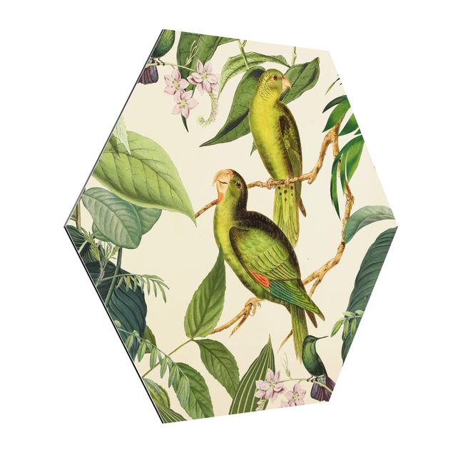 Hexagon-Alu-Dibond Bild - Vintage Collage - Papageien im Dschungel