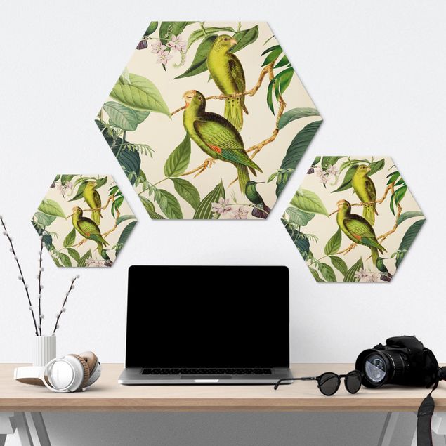 Hexagon-Alu-Dibond Bild - Vintage Collage - Papageien im Dschungel