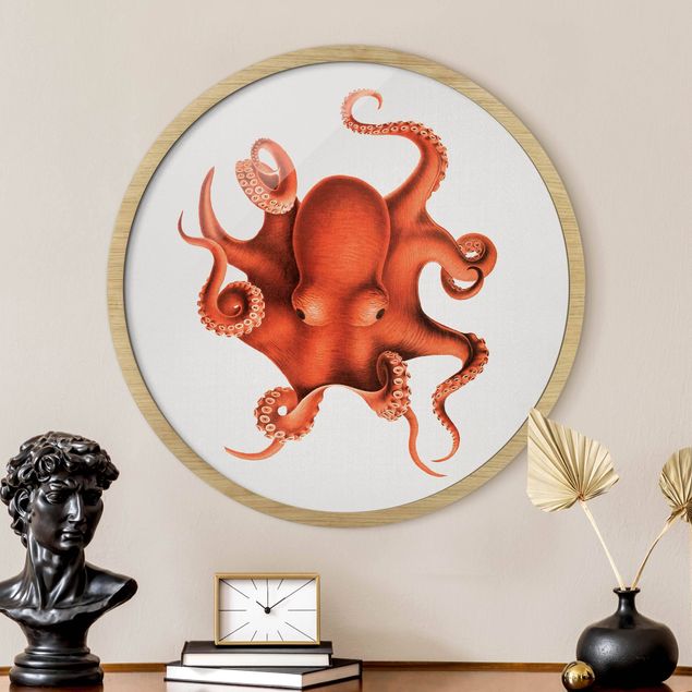 Moderne Bilder mit Rahmen Vintage Illustration Roter Oktopus