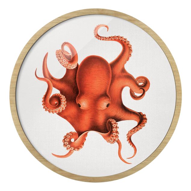 Wandbilder Vintage Illustration Roter Oktopus