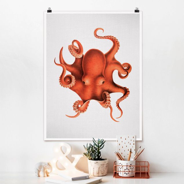 Wand Poster XXL Vintage Illustration Roter Oktopus