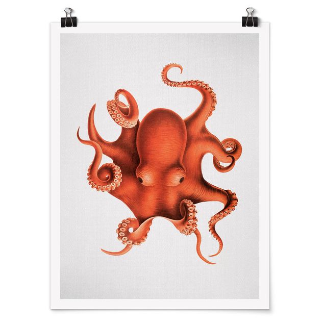 Wandbilder Vintage Illustration Roter Oktopus