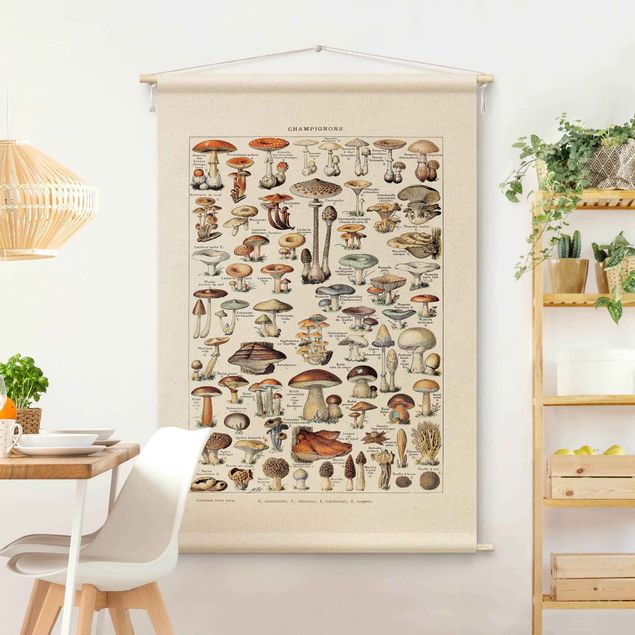 Moderne Wandteppiche Vintage Lehrtafel Pilze