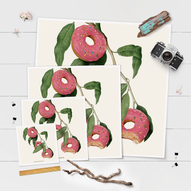 Poster - Vintage Pflanze - Donut - Quadrat 1:1