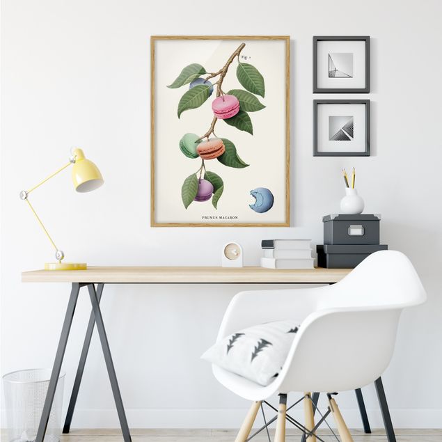 Moderne Bilder mit Rahmen Vintage Pflanze - Macaron