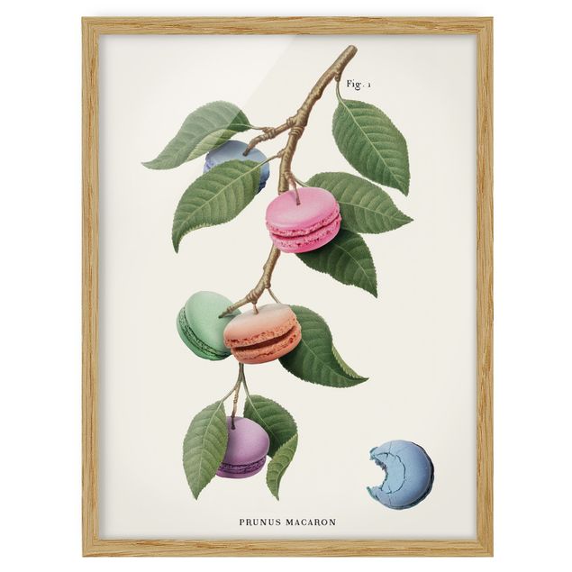 Wandbilder Vintage Pflanze - Macaron