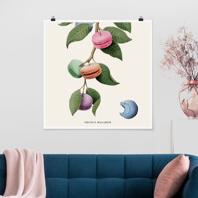 Wand Poster XXL Vintage Pflanze - Macaron