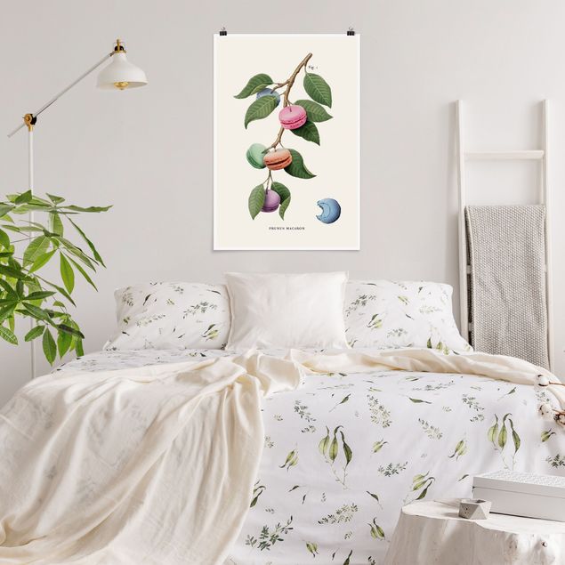 Poster mit Blumen Vintage Pflanze - Macaron