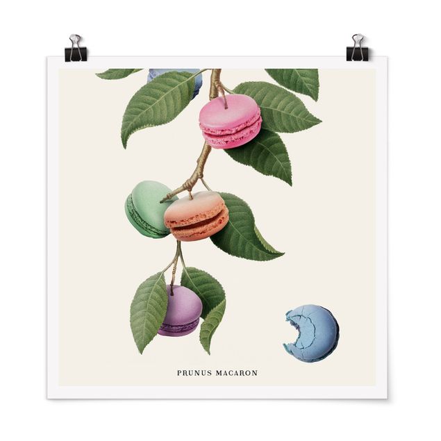 Jonas Loose Prints Vintage Pflanze - Macaron