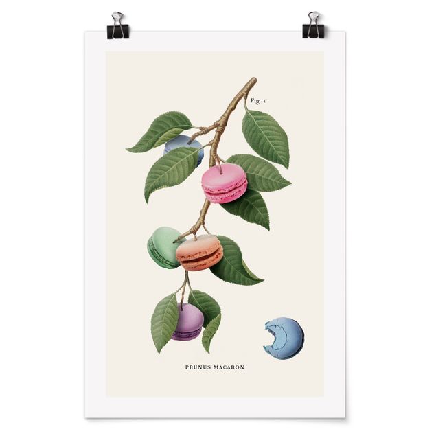 Jonas Loose Poster Vintage Pflanze - Macaron