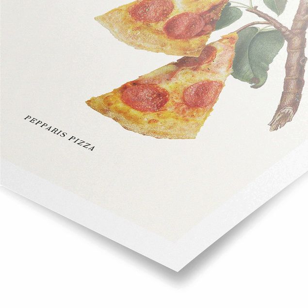 schöne Bilder Vintage Pflanze - Pizza