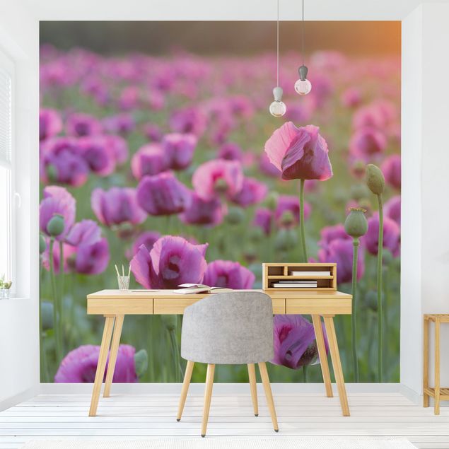 Fototapete - Violette Schlafmohn Blumenwiese im Frühling