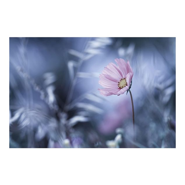 Fototapete Blüte in Pastell