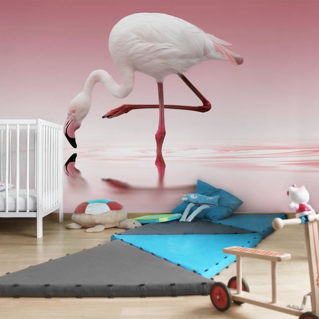 Fototapete Flamingo Dance