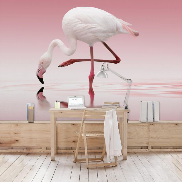 Fototapete Flamingo Dance