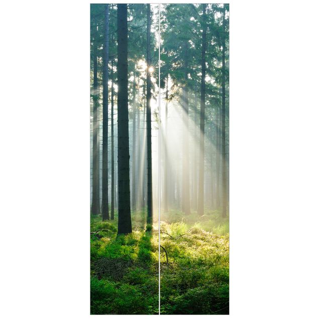schöne Tapeten Enlightened Forest