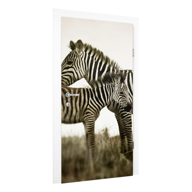 Design Tapeten Zebrapaar