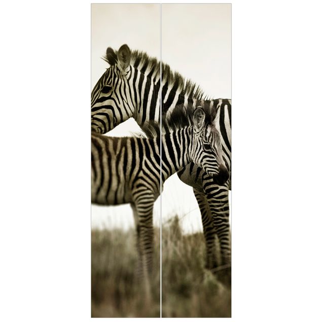 Tapeten kaufen Zebrapaar