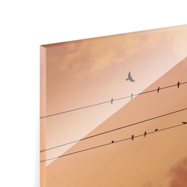Glas Wandbilder Vögel auf der Stromleitung