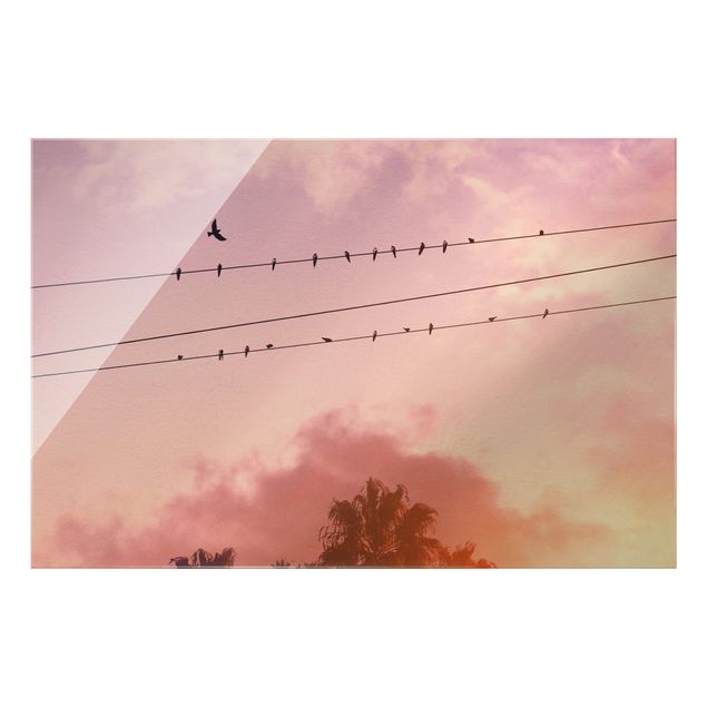 schöne Bilder Vögel auf der Stromleitung