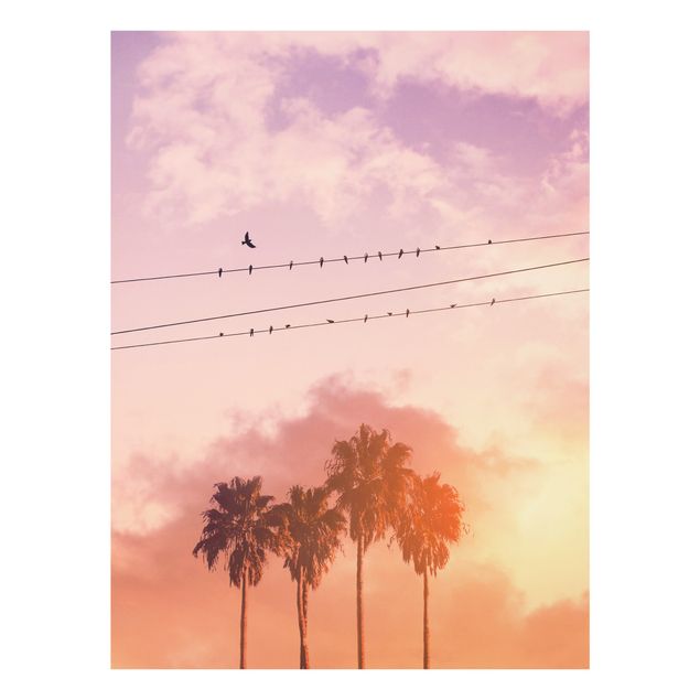 schöne Bilder Vögel auf der Stromleitung