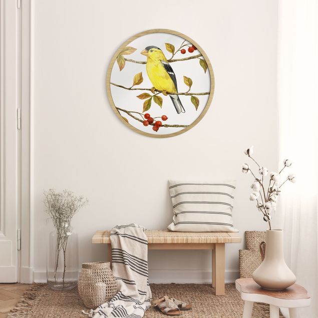 Moderne Bilder mit Rahmen Vögel und Beeren - Goldzeisig