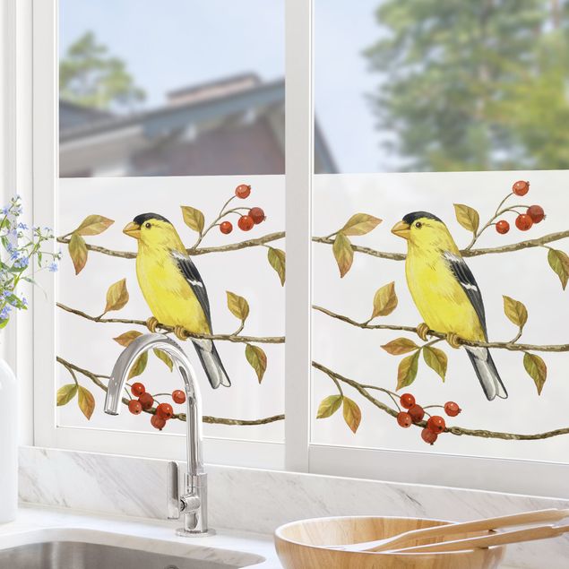 Fensterbilder Tiere Vögel und Beeren - Goldzeisig