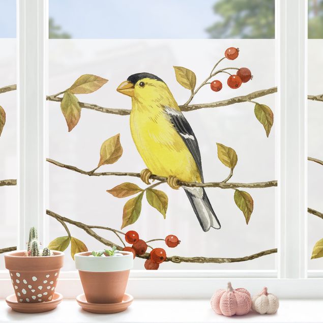 Fensterfolie farbig Vögel und Beeren - Goldzeisig