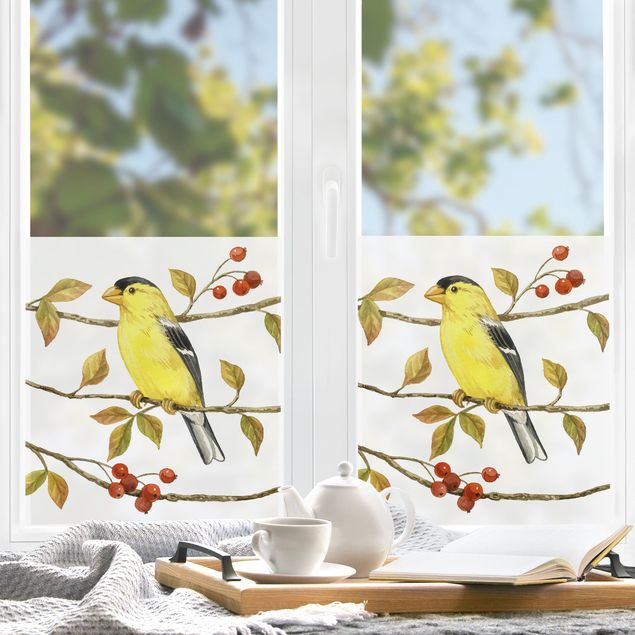Klebefolie für Fenster Vögel und Beeren - Goldzeisig