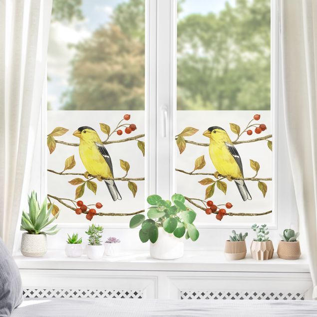 Fensterbilder Folie Vögel und Beeren - Goldzeisig