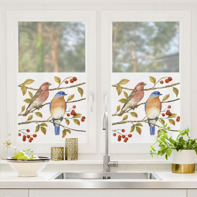 Fensterfolie Vögel und Beeren - Hüttensänger